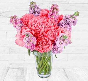 Peonies and Stocks